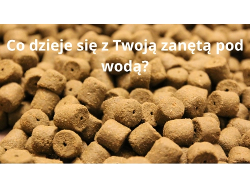 Co dzieje się z Twoją zanętą pod wodą?
